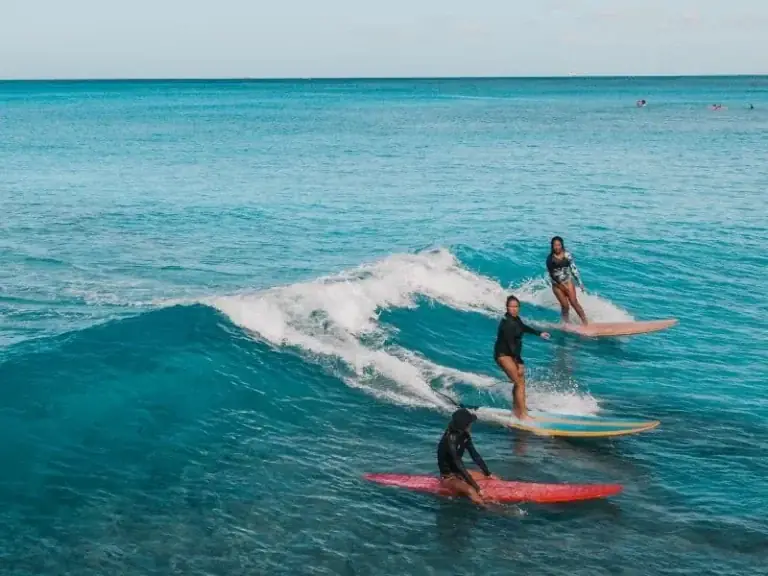 Best Surfing Camps for Digital Nomads: Remote Work Integration