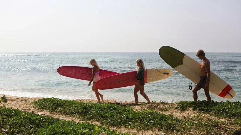 best surfing camps in the us