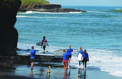 Compare Surfing Camps Prices: Financial and Operational Analysis