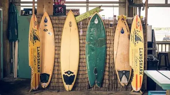 Cost-Effective Surf Travel: How to Reduce Surfing Camps Equipment Fees